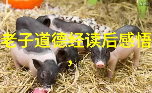 论炁体源流的历史背景及其对后世影响