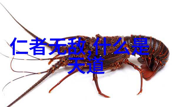 大道至简方得始终的意思-简约之美探索大道至简哲学在现代生活中的应用