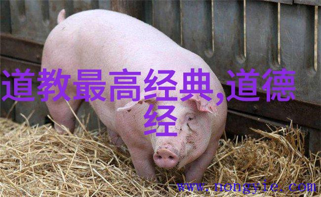古代智慧的交融周易与中医的神秘对话