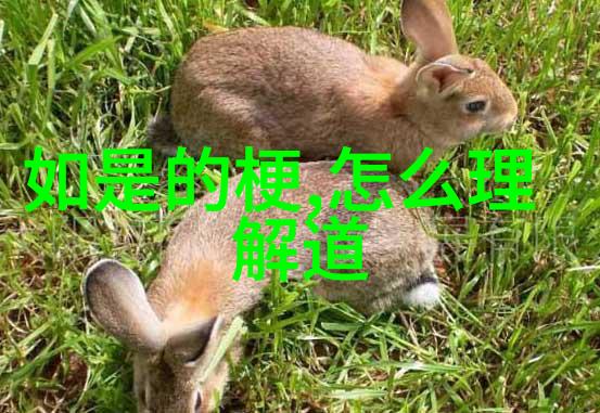 道德光谱中的法律基石寻找平衡点