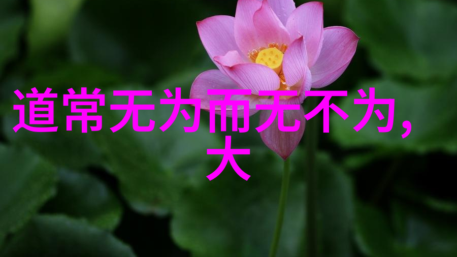 古韵悠扬探索课外诗词的魅力