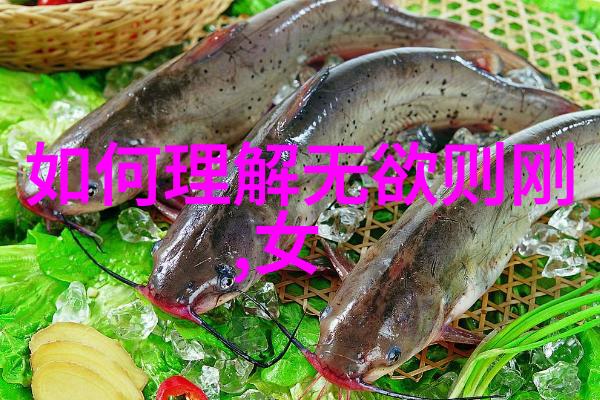 道家文化简介及历史名贤道家的起源与发展代表人物如老子张陵等