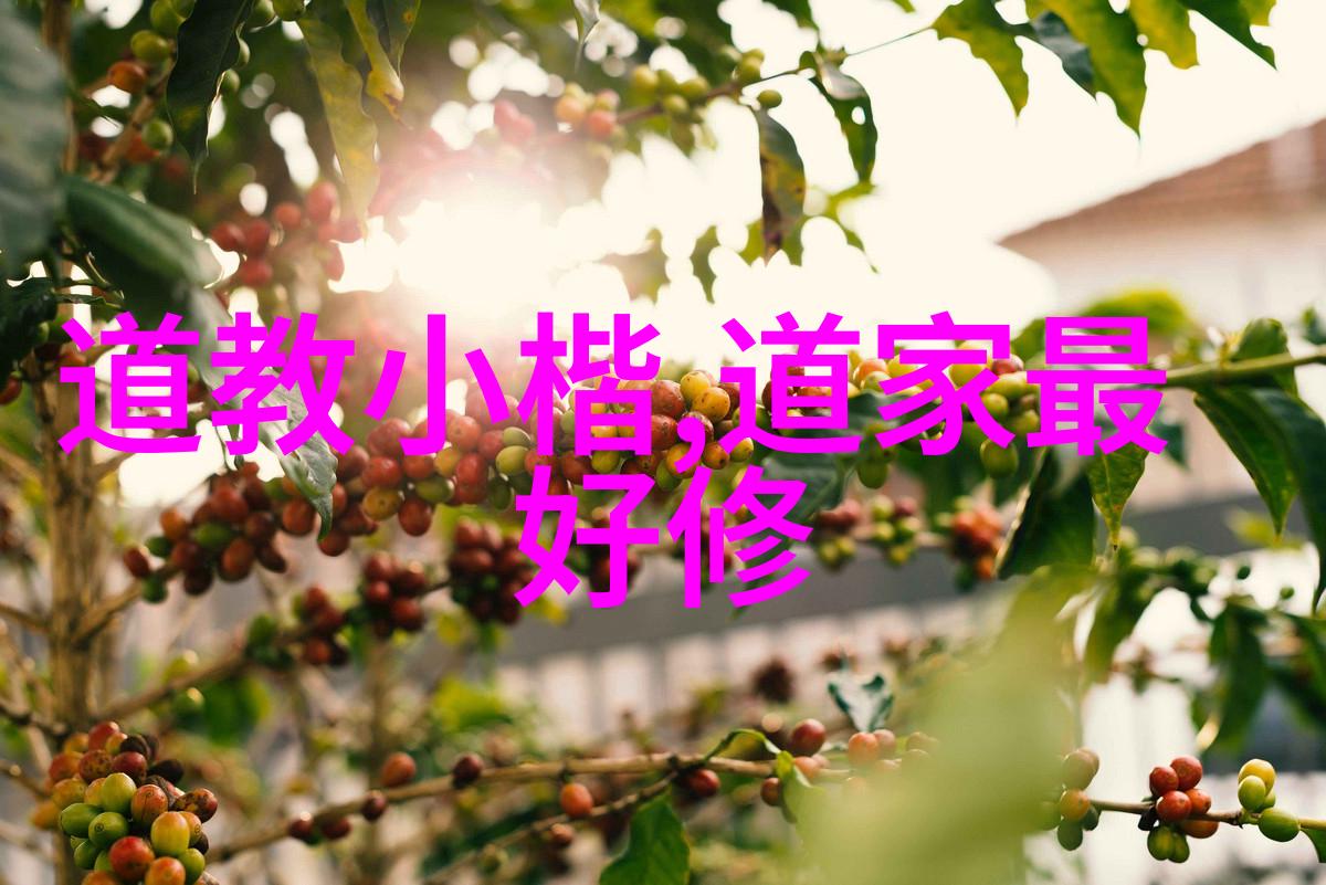 男人对女人说无欲则刚想表达什么-情感的隐喻男人背后的无欲则刚
