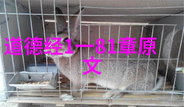 旗帜鲜明的代表人物塑造历史风貌与时代精神的楷模