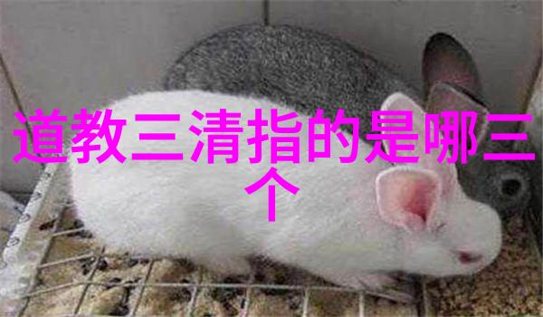 哪位代表人物的无为而治思想对后世影响最大