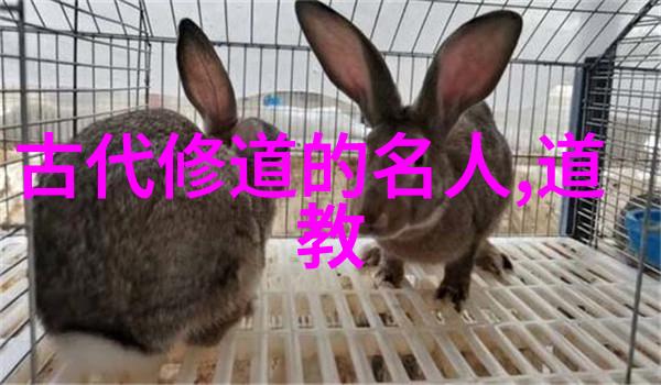 国风与雅俗共赏之间存在什么样的区别以及它们各自所表达的是什么精神内涵