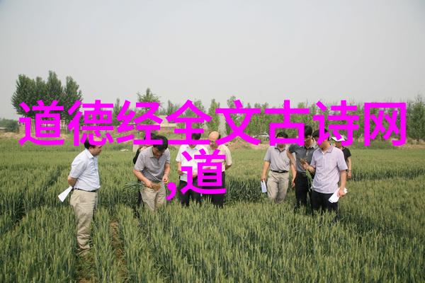 道德经章句解析之深度探究
