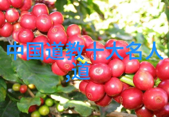 古代智慧启示录从道教三大奇书看生活哲理