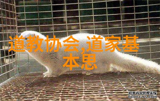 从容不迫的心理状态女人如何在无欲中找到力量的来源