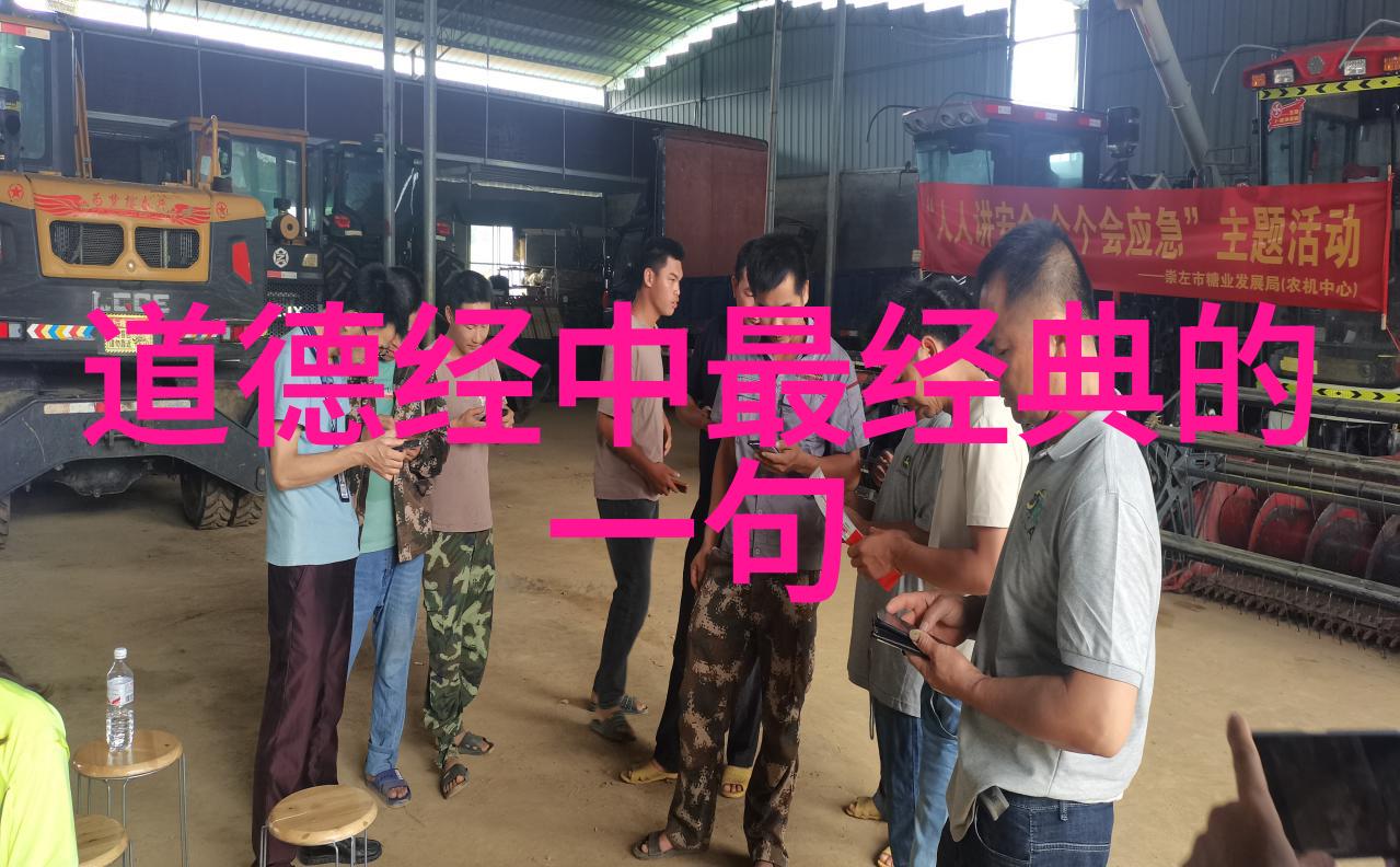 道家智慧精粹道家文化的深远名言与哲学思想
