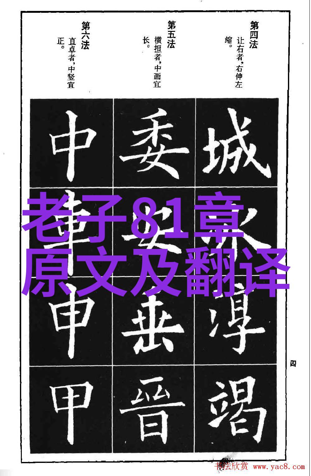 实干为要践行行动力铸就成果之城