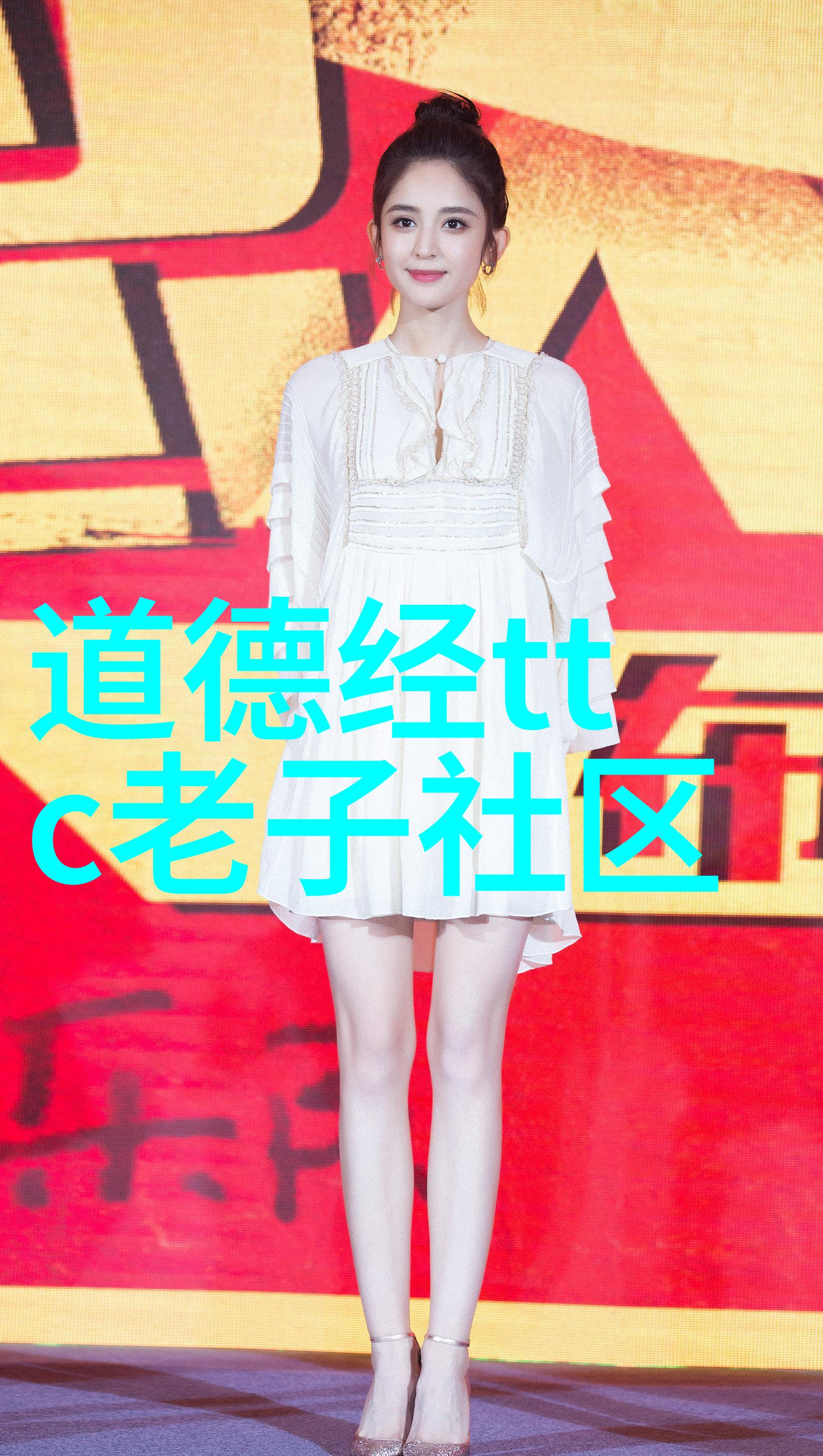 藏族的藏绣传统节日与风俗中的织梦者