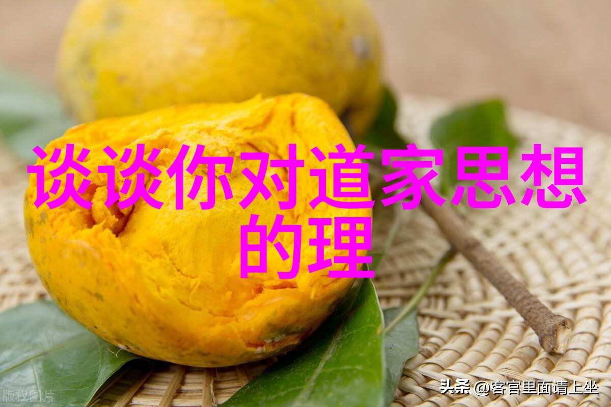 道家必备经典探秘道德经与庄子的智慧深度