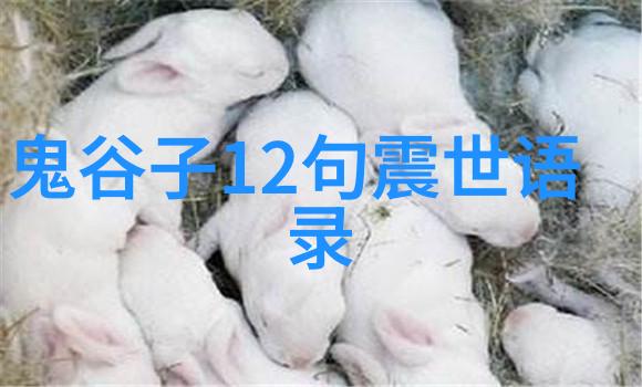 探秘老子道德经的哲学内涵