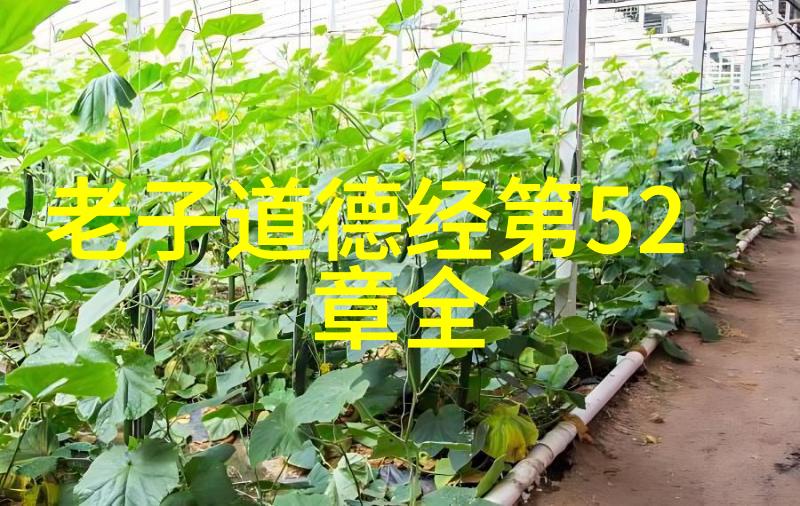 我来告诉你探秘道家宝库从道德经到周易的神奇之书
