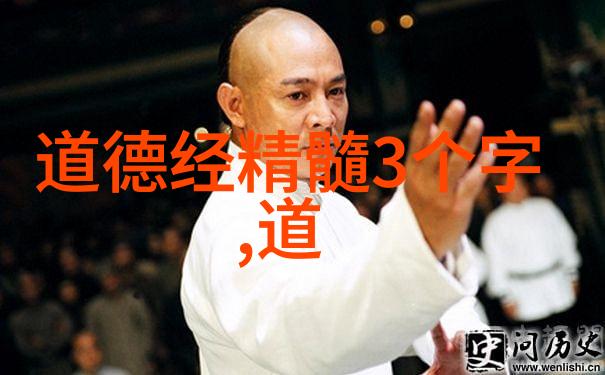 老狼RapperDISSSUBS欢迎18岁女艺人年轻女性说唱歌手的激情与挑战