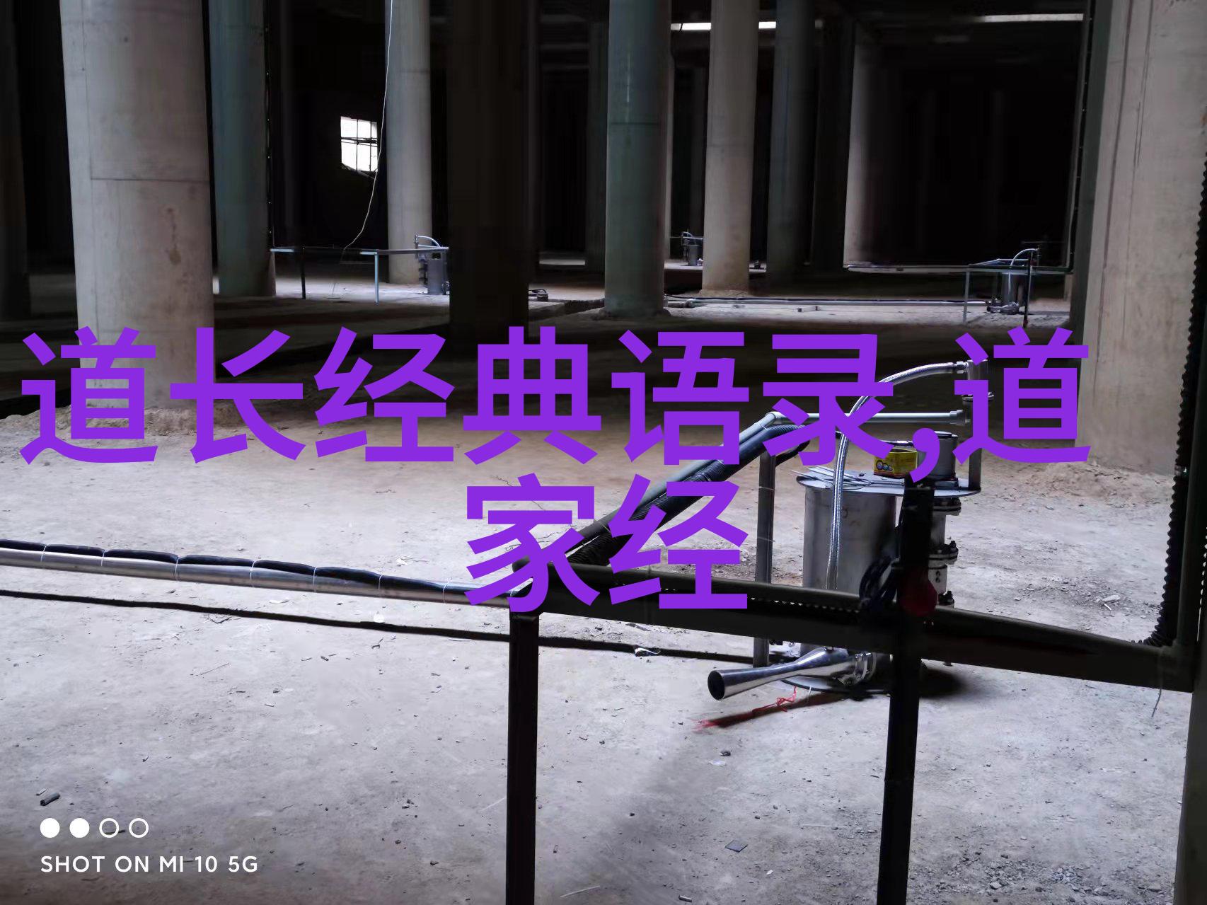 道德经一百零一章全文拼音解释究竟蕴含着怎样的智慧和哲学深意
