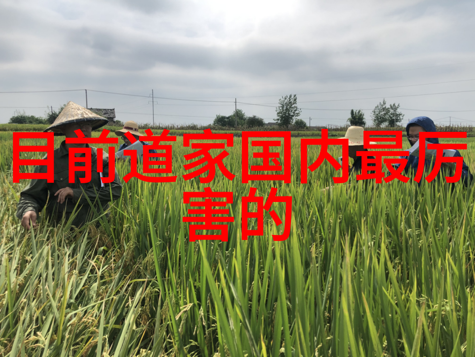道教的开山祖师是老子他在公元前500年左右生活著名的作品有道德经和庄子对中国哲学产生了深远影响