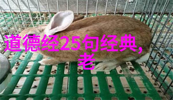 一枕黄粱梦梦回故里情未了
