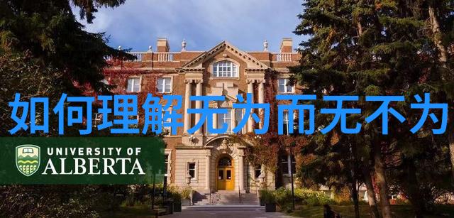 高分辨率图片中的大道究竟是自然还是人造环境更受欢迎呢