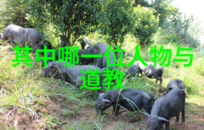 道教祖师之争揭秘老祖们的神秘力量与排名系统