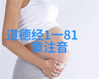 道家代表人物道教的智者与领袖