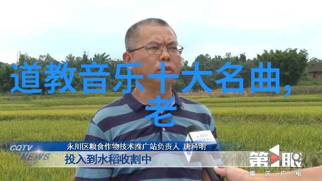 女性化缘之谜揭秘她们的慈善行为与社会意义