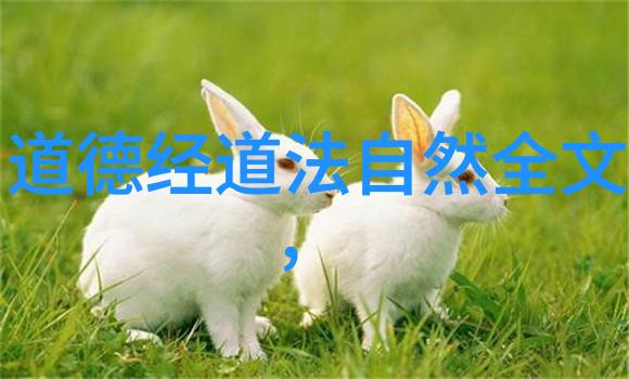 道家笑谈老子徒弟的修行日记