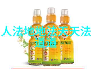 道教典籍与历史中的代表人物探索