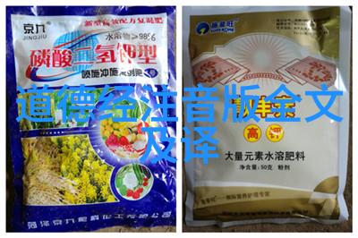 道教圣贤探秘中国道教著名人物的神秘世界