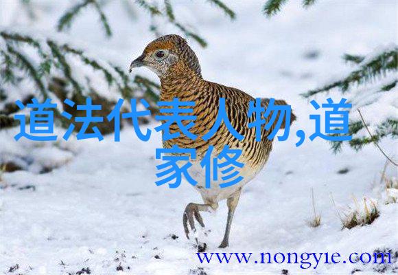 道家两鼻祖引领天人合一之道的先贤