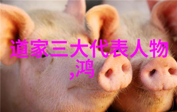 客家文化的守护者勤睦楼传统民居建筑的见证者