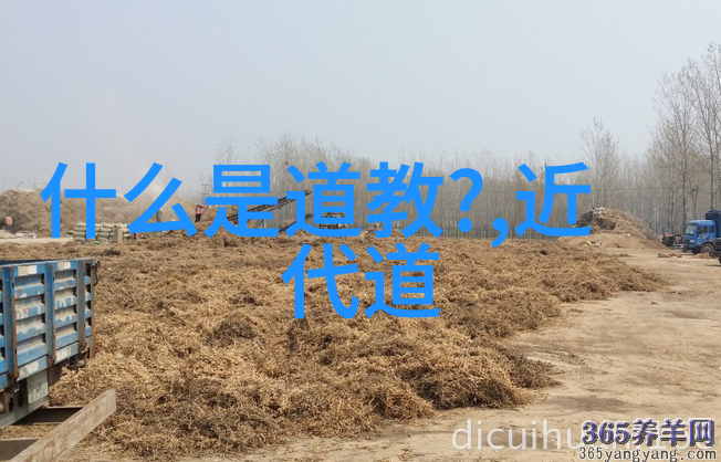 道家代表着什么秘密
