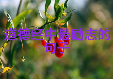 老子道家学说的开创者与智慧的源泉