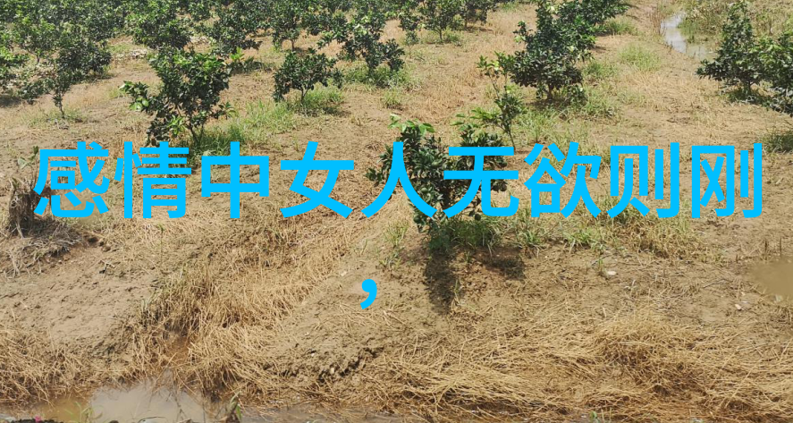 中国当代书法第一人李可染的墨迹传承
