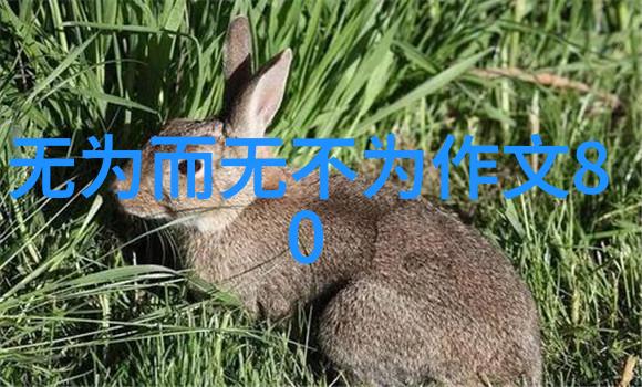 鸿钧老祖平级神仙名单考察