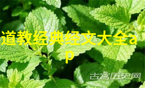 诗词赏析20首抒情古韵与现代意象的对话