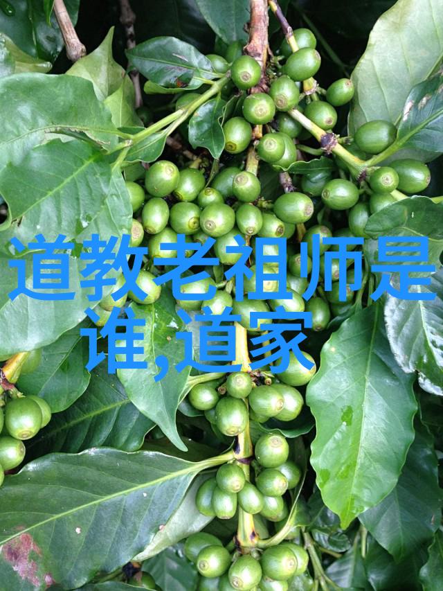 主题-野花日本大全免费观看3中文版探索日式美的无限魅力