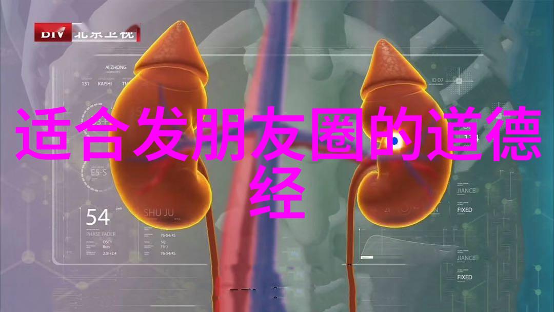 成人硬笔书法字帖推荐提升书写技巧的经典选择