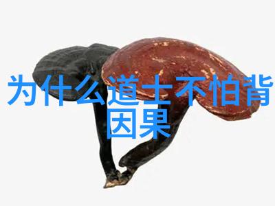 人物与道教-探秘历史中的道教高手揭秘那些与道教相关的传奇人物