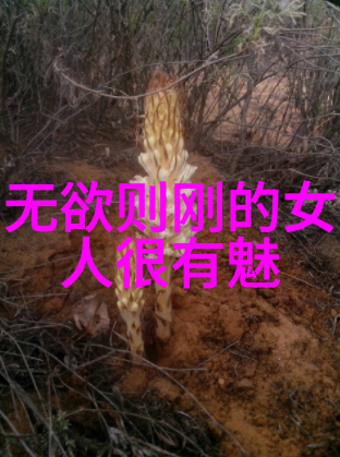 探索心性万法之谜大道至简的奥秘