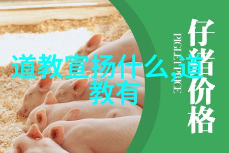 修行之道坚韧不拔的灵魂铸就辉煌