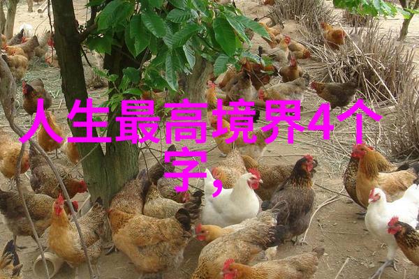 女生说大道至简解读女性对生活哲学的简单却深刻理解