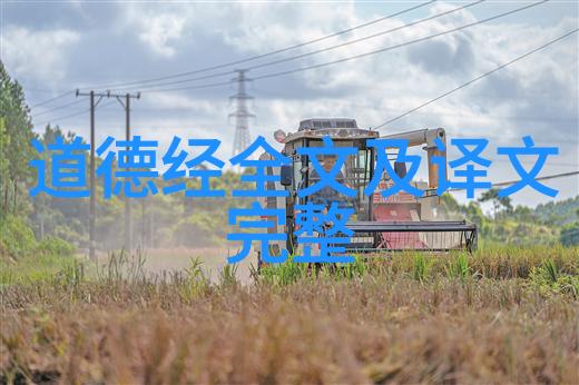 时光清浅处记忆的轻吟