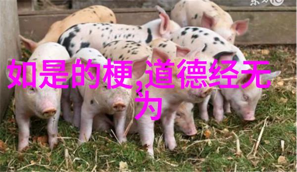 道德经九个字核心思想-天地不仁以万物为刍狗