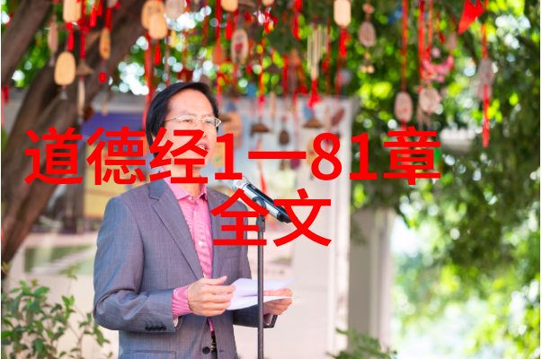 麻婆豆腐传媒视频免费-味蕾上的麻辣挑战探索麻婆豆腐传媒视频的无价之宝