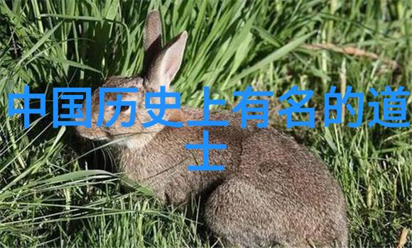 古代智者辉煌儒道法墨的精神追寻