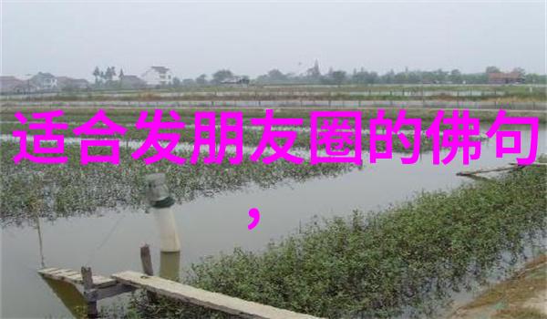 治国理政新思路道德经中治国哲学的应用实践