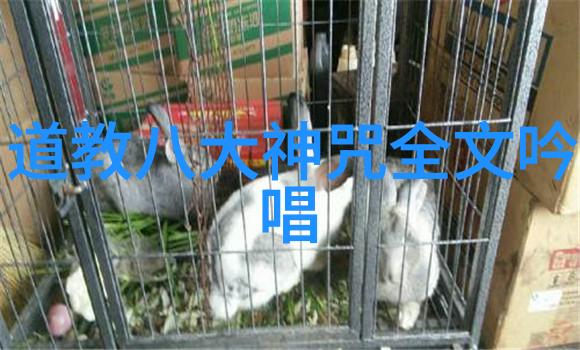 静听宇宙低语无为方能无不为的诗篇
