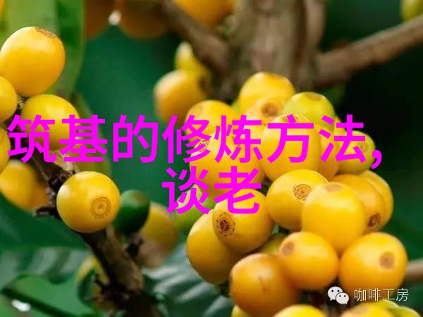 大道至简的哲学思想衍化为现代生活中的繁琐复杂大道至简与现代生活的反思